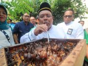 Poktan TRS Sukses Kembangkan Madu Kelulut – Potensi Usaha Baru Menjanjikan