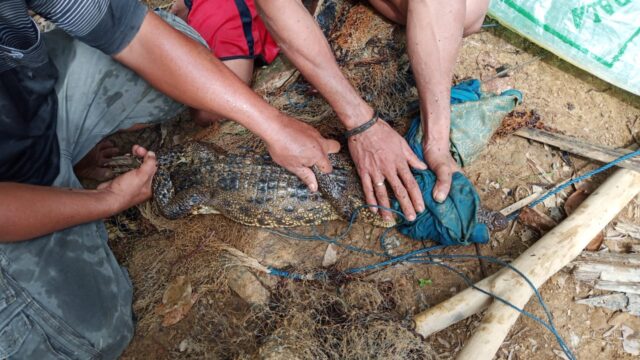 IMG-20210814-WA0045