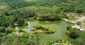 Cantiknya Danau Senal di Muara Wahau – Destinasi Wisata Eks Galian Tambang Batu Gunung