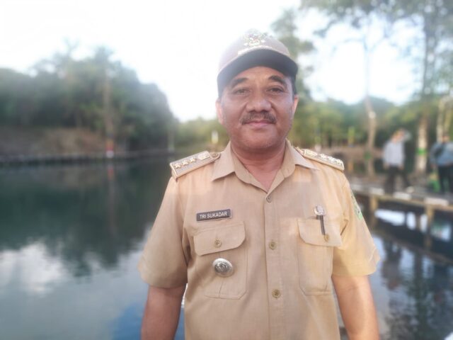 IMG-20220614-WA0146