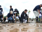 Pemkab Kutim Apresiasi Fopsir dan KPC Tanam Seribu Bibit Mangrove