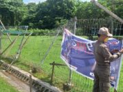 Satpol-PP Kutim Bongkar Paksa Belasan Baliho Liar
