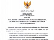 Pemkab Umumkan Hasil Seleksi Administrasi CPNS 2024 – Pendaftar Bisa Langsung Cek di Website BKPSDM Kutim