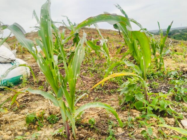 cacabe34-ec3a-498d-b6c5-aae1f4b84c6d