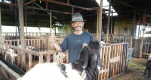 Dari Tambang ke Kandang – Mantan Karyawan Buktikan Peternakan Jadi Masa Depan Ekonomi Pascapensiun