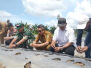 Ditanami 6.000 Melon, Teluk Pandan Didorong Jadi Sentra Hortikultura