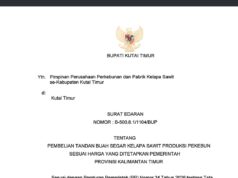 Bupati Kutim Terbitkan Edaran, Perusahaan Sawit Diminta Ikuti Harga Resmi TBS