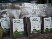 Binaan Indexim, Poktan Kaubun Kini Produksi 15 Ton Pupuk Organik per Bulan